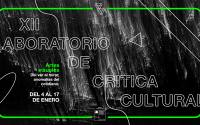 XII Laboratorio de Crítica Cultural Artes visuales: Del ver al mirar, anomalías del cotidiano