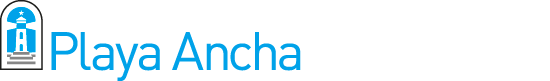 Logo UPLA - Descriptor Facultad de Ciencias Naturales y Exactas
