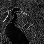 Expo colectiva estudiantes UPLA_Xilografia-La-Danza-de-Fabio-Puentes