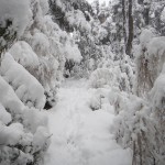 Reconocimiento exploratorio_Geografía UPLA