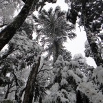 Reconocimiento exploratorio_Geografía UPLA