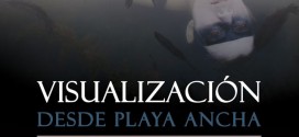 expo_visualización desde playa ancha