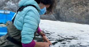 Coliformes fecales: UPLA realizará monitoreo continuo de agua de mar y sedimentos en la Región de Valparaíso