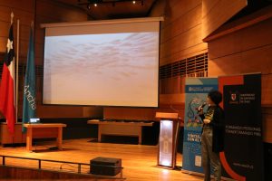 Itinerancia de revista “Cambalache” de la USACH llegó hasta la UPLA