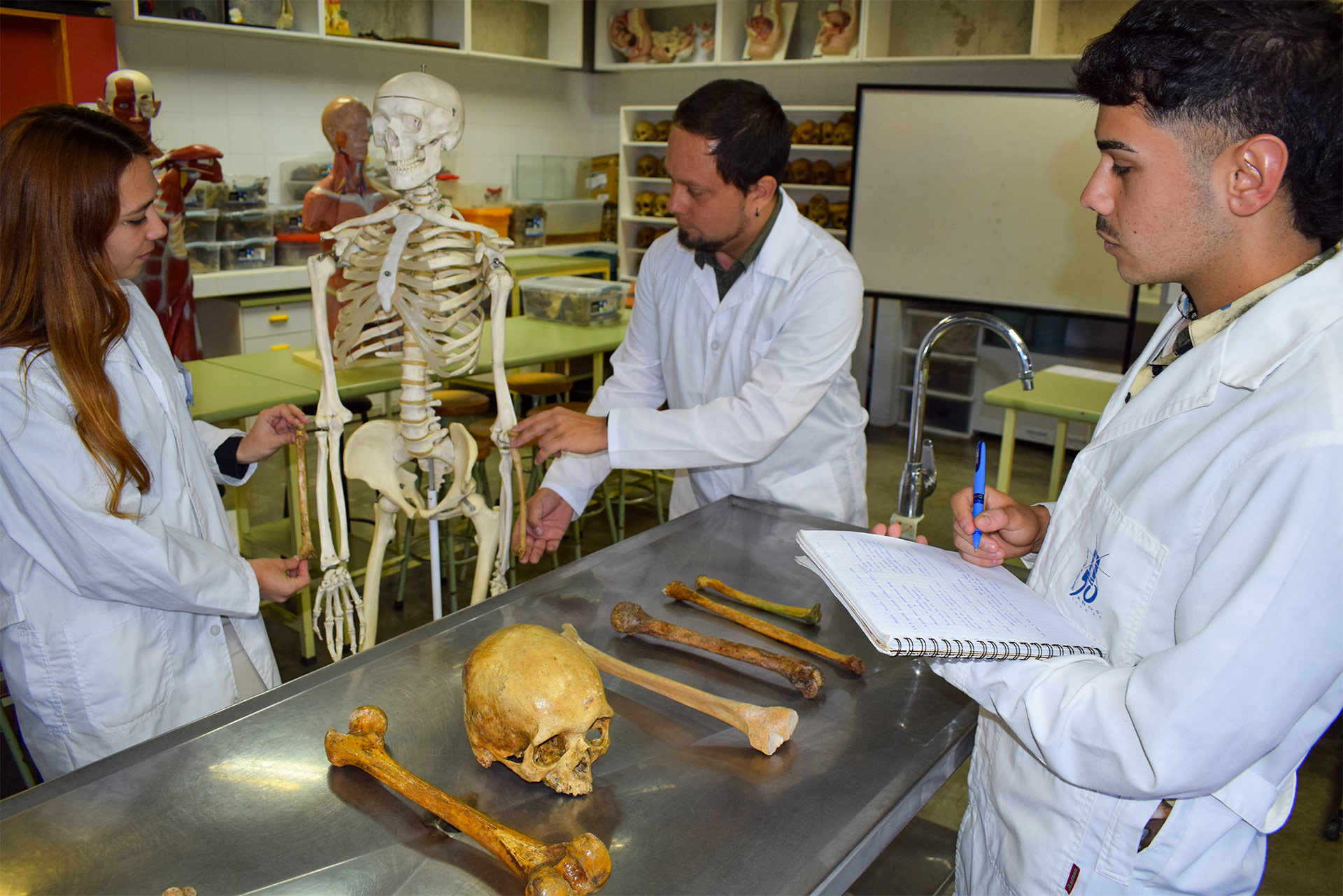 Pedagogía en Biologia y Ciencias UPLA: Docente y estudiantes