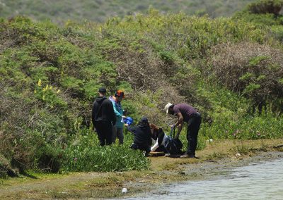 Humedal Salinas de Pullally