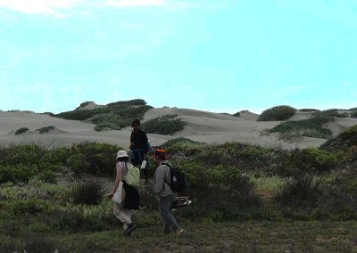 Humedal Salinas de Pullally