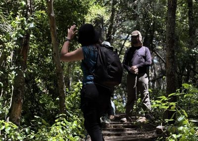 Reserva Nacional Altos de Lircay