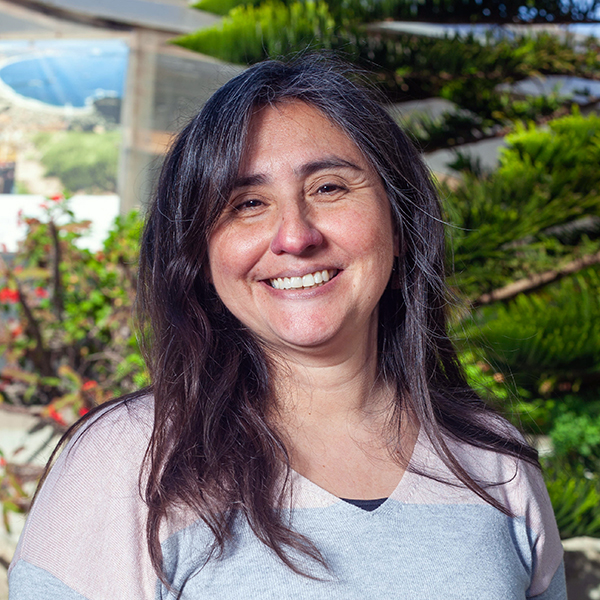 María Angélica Pérez Escobar