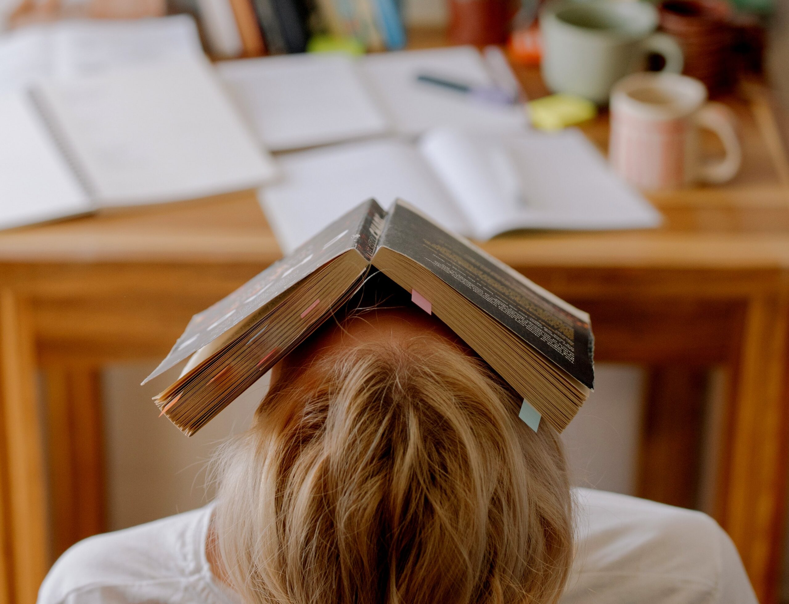 Taller “Acompañamiento socioemocional para investigadores en tiempos de pandemia”