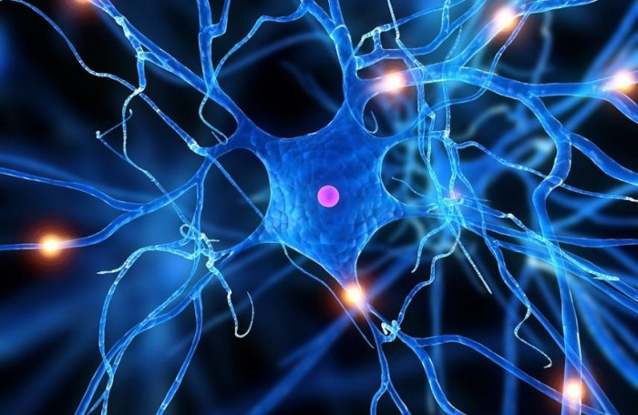 Webinar CRUV abordó la salud mental y el consumo de neuroestimulantes