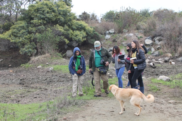 Especialistas en flora y aves UPLA realizaron estudio en estero El Sauce de Laguna Verde