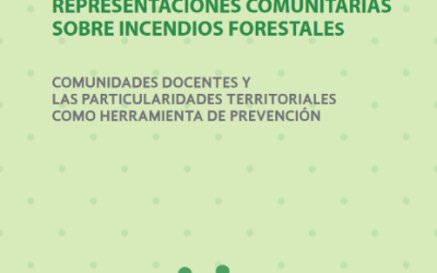 Egresado de Sociología publica libro sobre incendios forestales y su impacto en la comunidad junto a CONAF