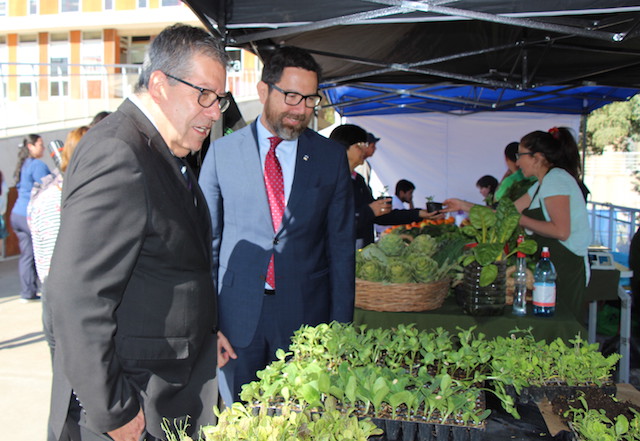 Director de Greenpeace Chile:“Respecto a la escasez hídrica, hay sequía y saqueo”