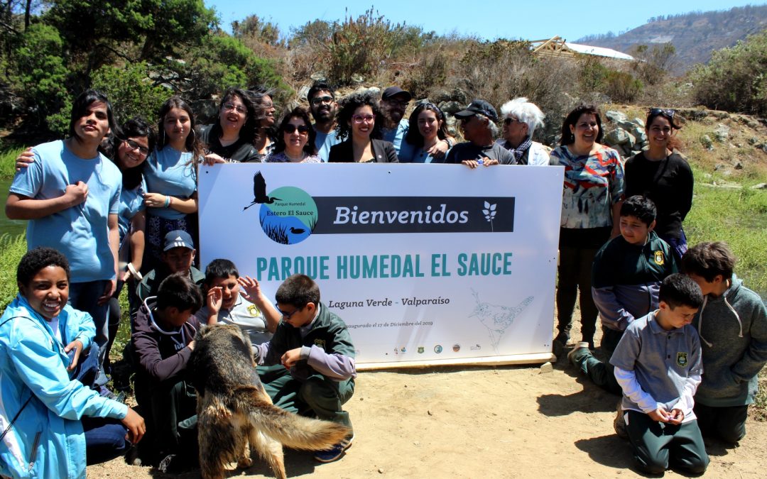 Comunidad de Laguna Verde inaugura Parque Estero El Sauce junto a académicas y estudiantes UPLA