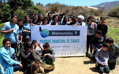 Comunidad de Laguna Verde inaugura Parque Estero El Sauce junto a académicas y estudiantes UPLA
