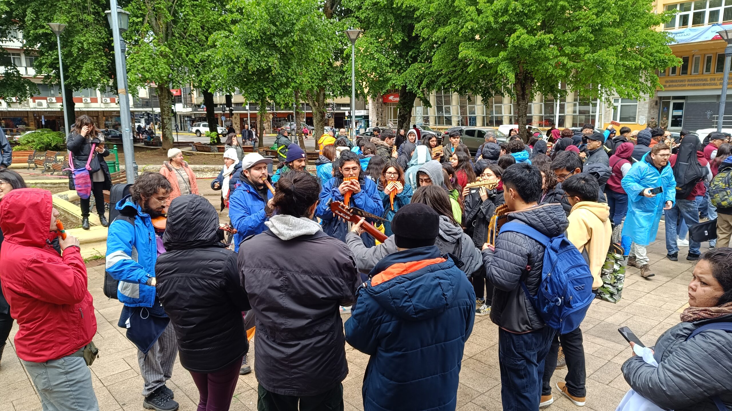 Ensamble Latinoamericano Abya Yala de la UPLA deslumbró en gira por Valdivia y Arica como talleristas para visitantes de Chile, Argentina y México