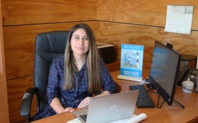 Fabiola Vilugrón, directora de Vinculación con el Medio, sobre Escuela de Verano: “Reafirma nuestro compromiso como Universidad con la democratización del conocimiento”