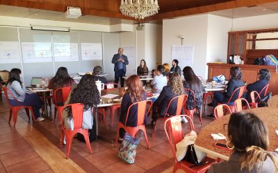 Equipo de Dirección de Vinculación con el Medio conoció resultados de asesoría técnica desarrollada en facultades UPLA