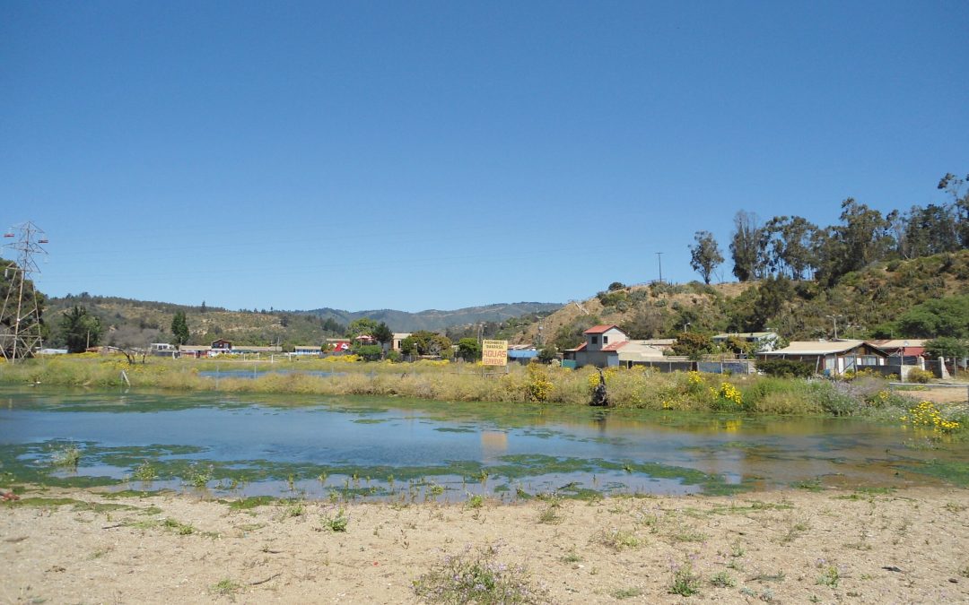Proyecto «Programa de Alfabetización oceánica de la región de Valparaíso: diseño de una aplicación móvil piloto para complementar un modelo de seguimiento»