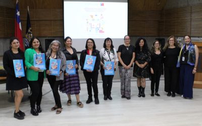 Iniciativa VcM cierra proyectando su contribución a la formación escolar y universitaria con perspectiva de género e intercultural