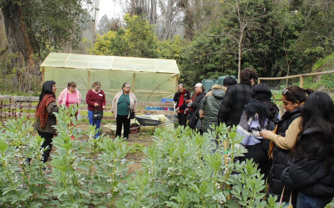 Fondo Social CreaLab UPLA: fortaleciendo la vinculación territorial con proyectos de alto impacto en la Región de Valparaíso
