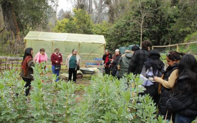 Fondo Social CreaLab UPLA: fortaleciendo la vinculación territorial con proyectos de alto impacto en la Región de Valparaíso