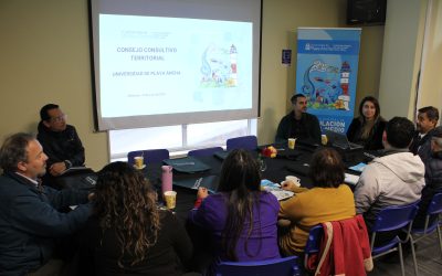 Dirección General de Vinculación con el Medio realizó la primera sesión del Consejo Consultivo Territorial UPLA