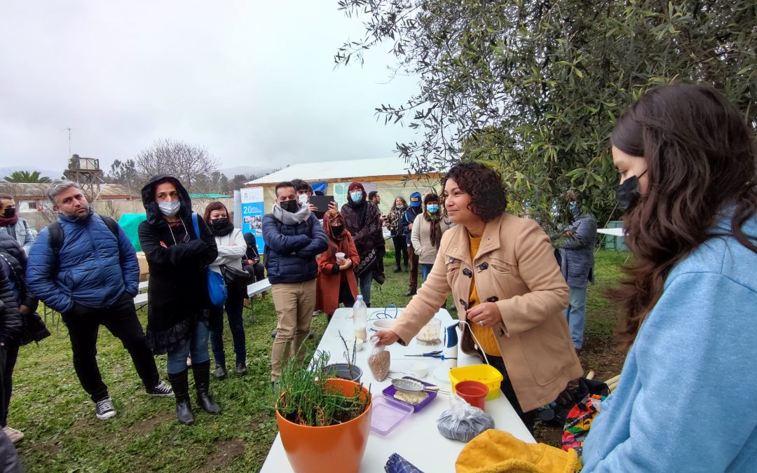 Modelo integral de transferencia de competencias para la producción segura de plantines de hierbas aromáticas entre comunidades pertenecientes a la comuna de Puchuncaví
