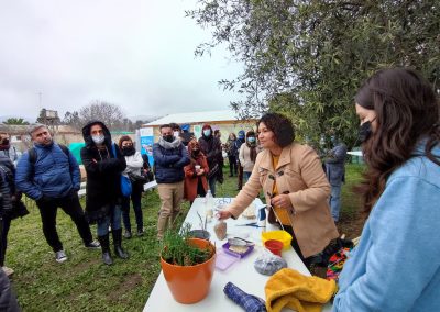 Modelo integral de transferencia de competencias para la producción segura de plantines de hierbas aromáticas entre comunidades pertenecientes a la comuna de Puchuncaví