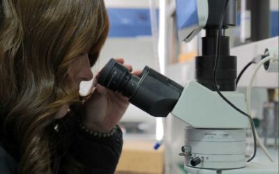 Colegios técnico profesionales valoran actualización de proceso con que ITEC reconoce aprendizajes de escolares